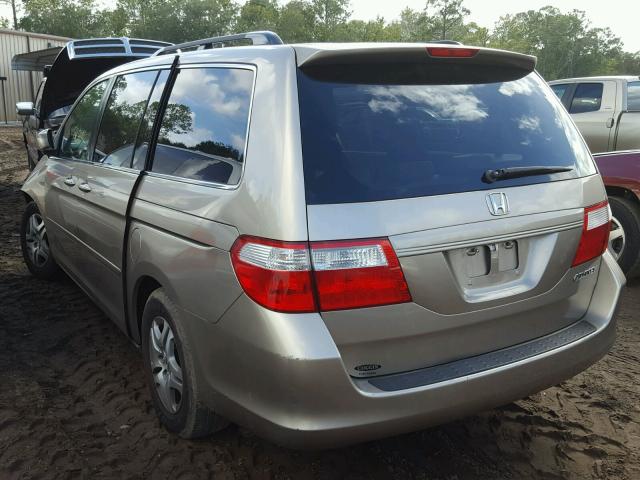 5FNRL38605B422478 - 2005 HONDA ODYSSEY EX GOLD photo 3