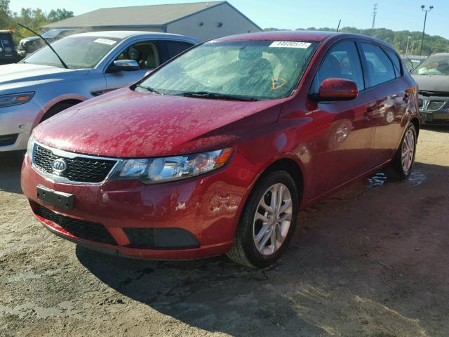 KNAFU5A2XB5437423 - 2011 KIA FORTE EX RED photo 2