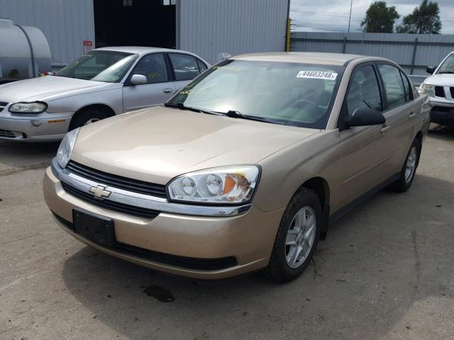 1G1ZT52855F306221 - 2005 CHEVROLET MALIBU LS BEIGE photo 2