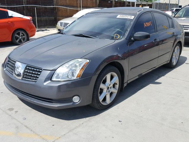 1N4BA41E55C829584 - 2005 NISSAN MAXIMA SE GRAY photo 2