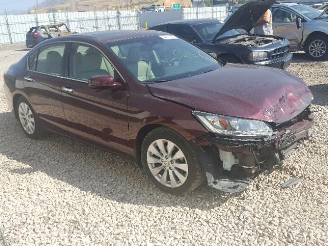 1HGCR2F81DA056767 - 2013 HONDA ACCORD EXL MAROON photo 1