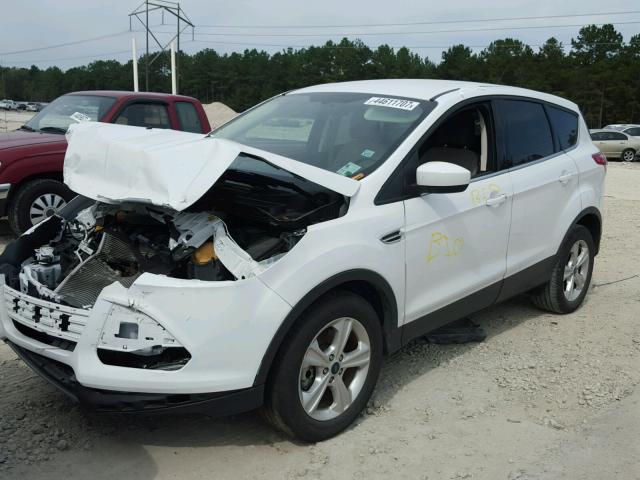 1FMCU0G96EUE33968 - 2014 FORD ESCAPE SE WHITE photo 2