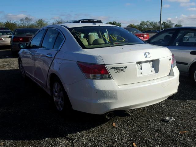 5KBCP3F84AB012891 - 2010 HONDA ACCORD EXL WHITE photo 3