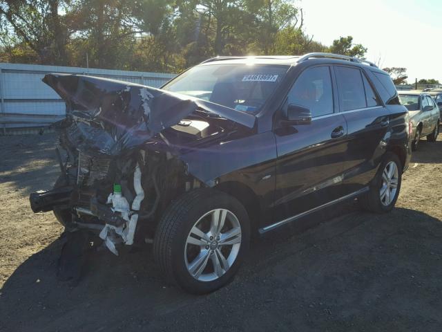 4JGDA5HB6CA010995 - 2012 MERCEDES-BENZ ML 350 4MA BLACK photo 2