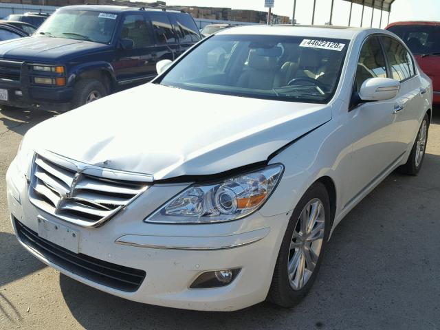 KMHGC46F69U047057 - 2009 HYUNDAI GENESIS 4. WHITE photo 2