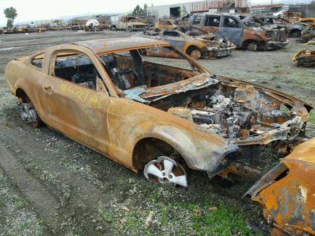 1ZVFT80N075215271 - 2007 FORD MUSTANG BURN photo 1