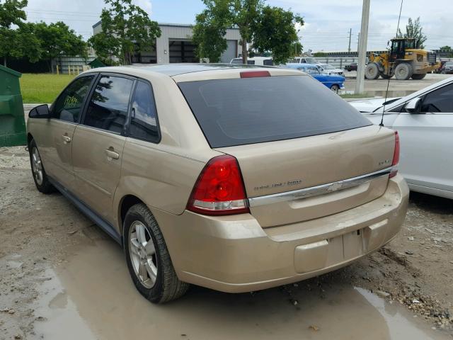 1G1ZT64854F211823 - 2004 CHEVROLET MALIBU MAX 金色 照片 3