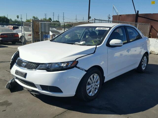 KNAFU4A28D5740990 - 2013 KIA FORTE EX WHITE photo 2