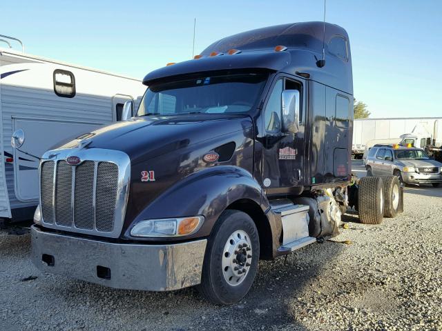 1XP7D49X0AD102062 - 2010 PETERBILT 387 MAROON photo 2