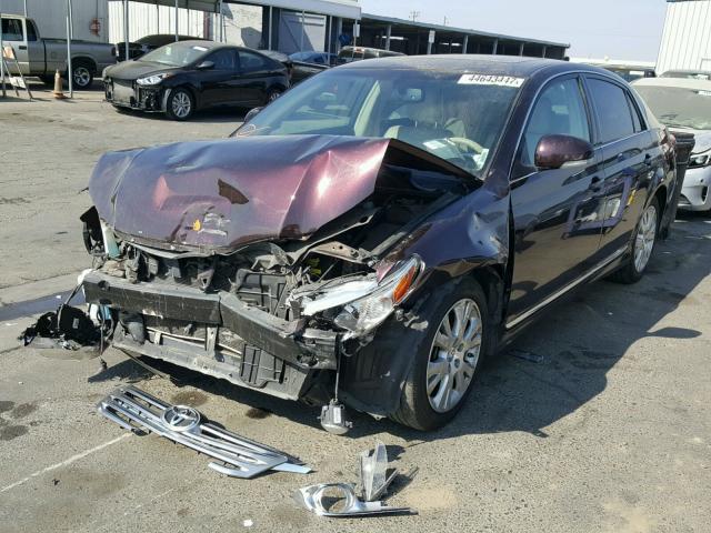 4T1BK3DB1BU376553 - 2011 TOYOTA AVALON BAS PURPLE photo 2