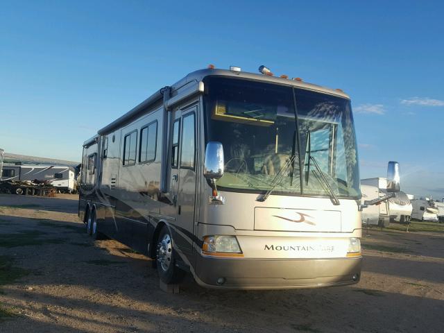 4VZBT1D934C046391 - 2004 SPARTAN MOTORS MOTORHOME TAN photo 1