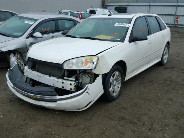 1G1ZU64845F257481 - 2005 CHEVROLET MALIBU MAX 白色 照片 2