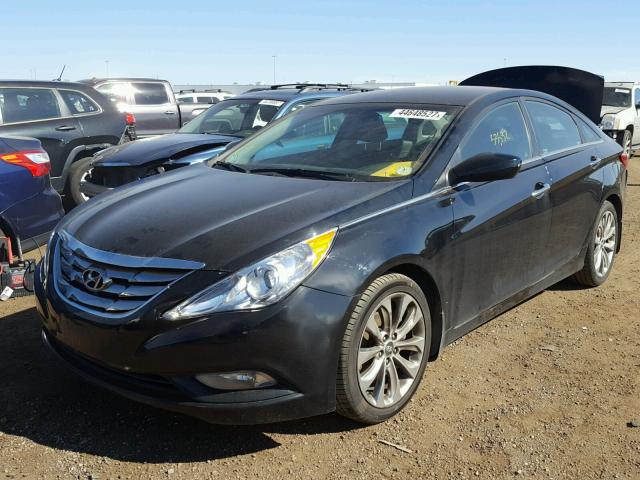 5NPEC4AC6DH599301 - 2013 HYUNDAI SONATA SE BLACK photo 2