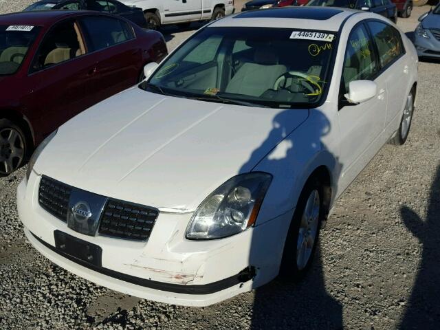 1N4BA41E44C821166 - 2004 NISSAN MAXIMA WHITE photo 2