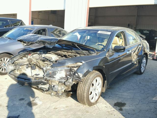 5KBCP3F81AB004649 - 2010 HONDA ACCORD EXL BLACK photo 2