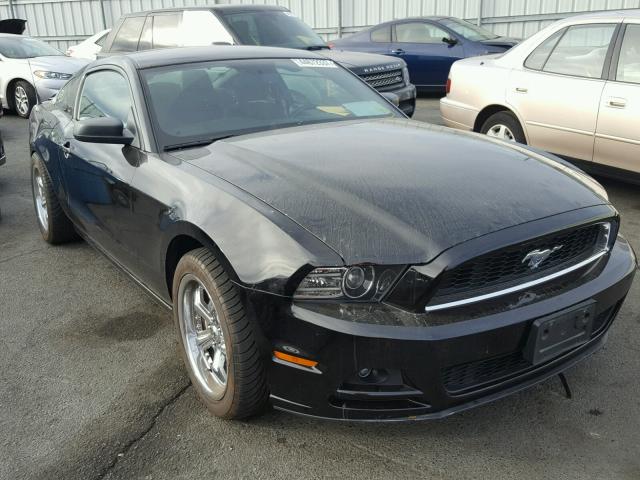 1ZVBP8AM3D5245109 - 2013 FORD MUSTANG BLACK photo 1