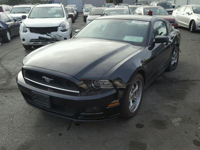 1ZVBP8AM3D5245109 - 2013 FORD MUSTANG BLACK photo 2