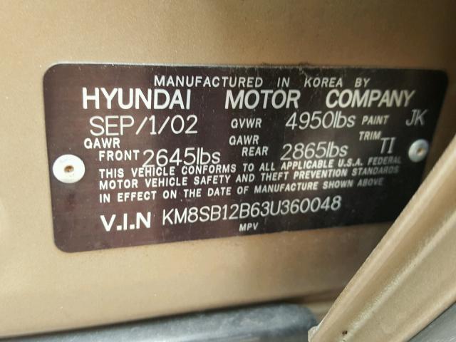 KM8SB12B63U360048 - 2003 HYUNDAI SANTA FE GOLD photo 10