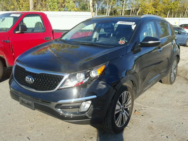 KNDPCCAC3G7815049 - 2016 KIA SPORTAGE E BLACK photo 2