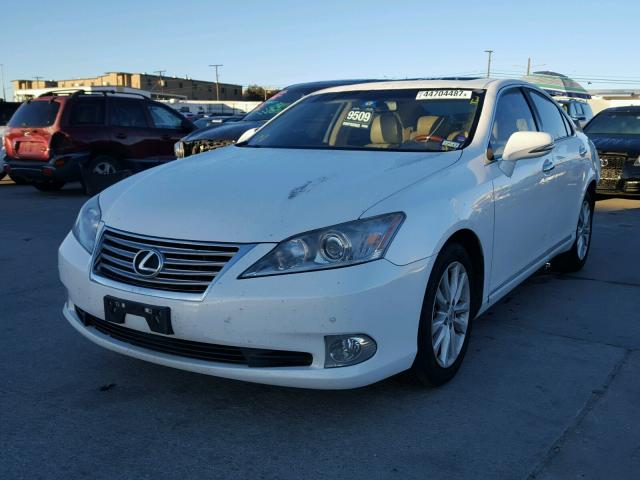 JTHBK1EG6C2479465 - 2012 LEXUS ES 350 WHITE photo 2