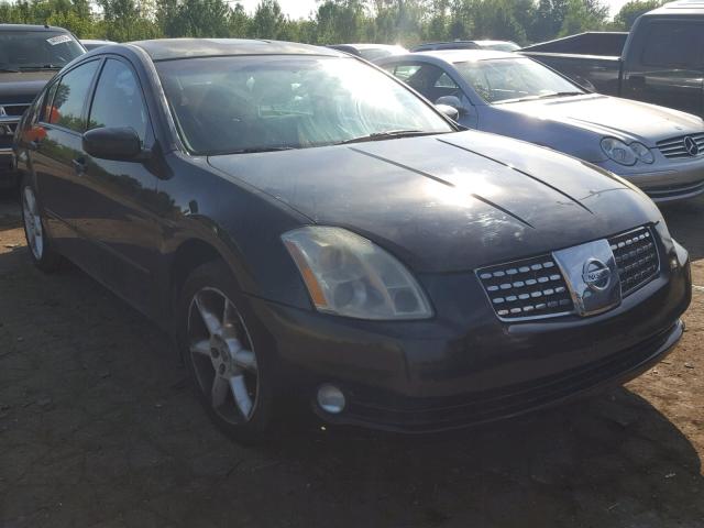 1N4BA41E34C922263 - 2004 NISSAN MAXIMA SE BLACK photo 1