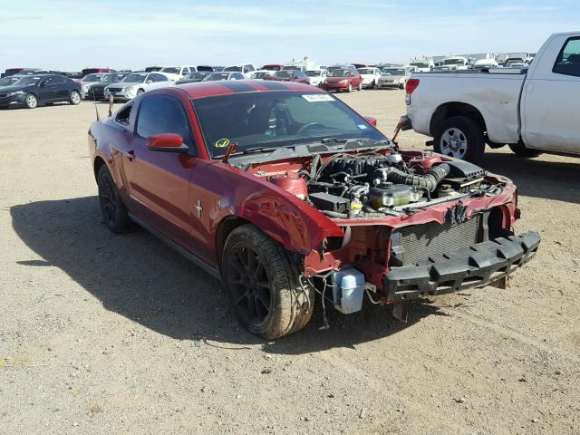 1ZVBP8AN1A5151492 - 2010 FORD MUSTANG MAROON photo 1