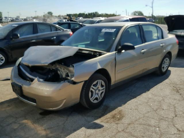 1G1ZS51F36F270369 - 2006 CHEVROLET MALIBU GOLD photo 2