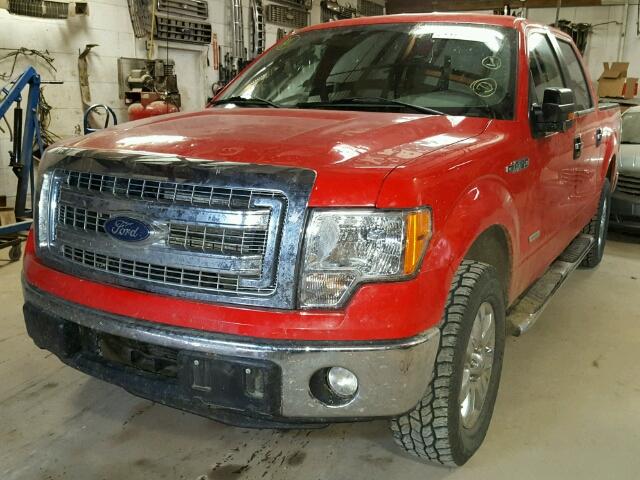 1FTFW1ET6DKG10383 - 2013 FORD F150 SUPER RED photo 2