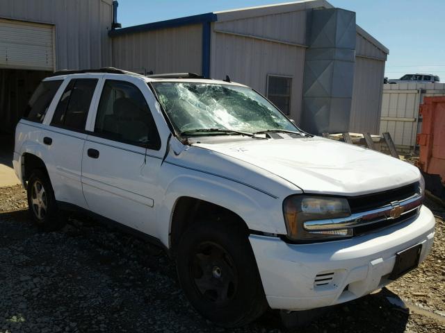 1GNDS13S362234037 - 2006 CHEVROLET TRAILBLAZE WHITE photo 1