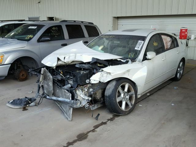 1N4BA41E26C803221 - 2006 NISSAN MAXIMA SE WHITE photo 2