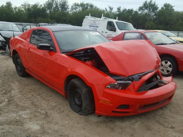 1ZVBP8AM0E5261382 - 2014 FORD MUSTANG RED photo 1