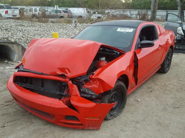 1ZVBP8AM0E5261382 - 2014 FORD MUSTANG RED photo 2