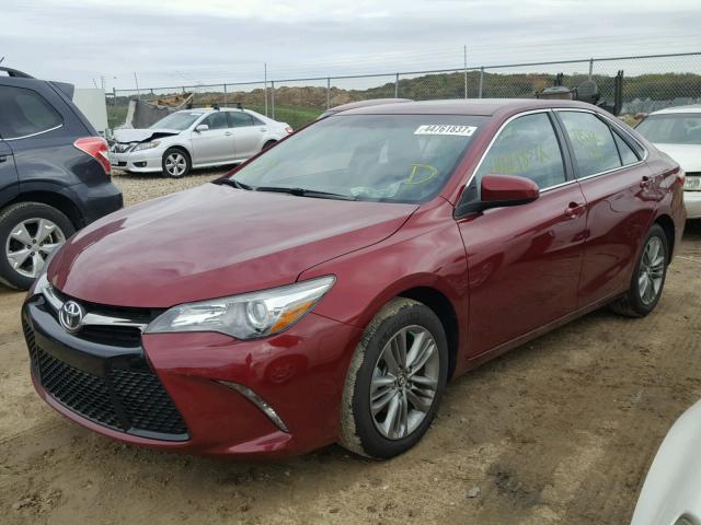 4T1BF1FK7GU522743 - 2016 TOYOTA CAMRY LE RED photo 2