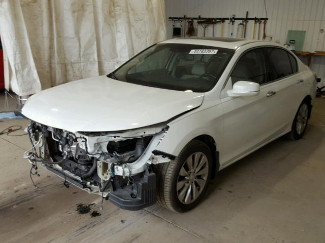 1HGCR3F85DA005214 - 2013 HONDA ACCORD EXL Ağ foto 2