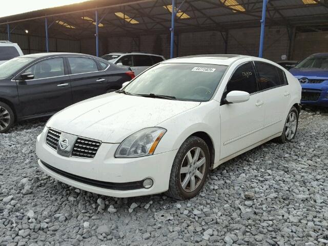 1N4BA41E65C867079 - 2005 NISSAN MAXIMA WHITE photo 2