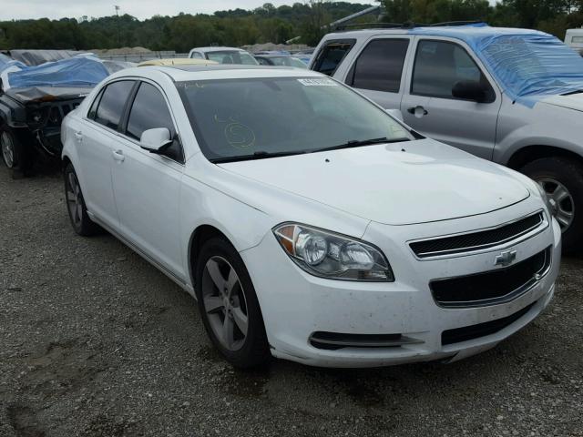 1G1ZC5E19BF388240 - 2011 CHEVROLET MALIBU 1LT თეთრი ფოტო 1