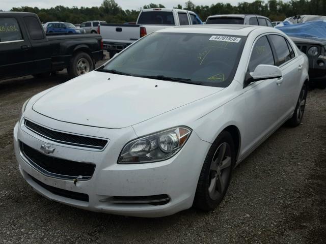 1G1ZC5E19BF388240 - 2011 CHEVROLET MALIBU 1LT თეთრი ფოტო 2