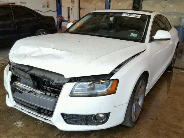 WAUDK78T99A034199 - 2009 AUDI A5 QUATTRO WHITE photo 2