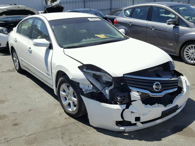 1N4CL21E38C285867 - 2008 NISSAN ALTIMA HYB WHITE photo 1