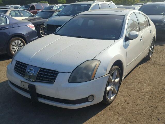 1N4BA41E34C836855 - 2004 NISSAN MAXIMA SE WHITE photo 2