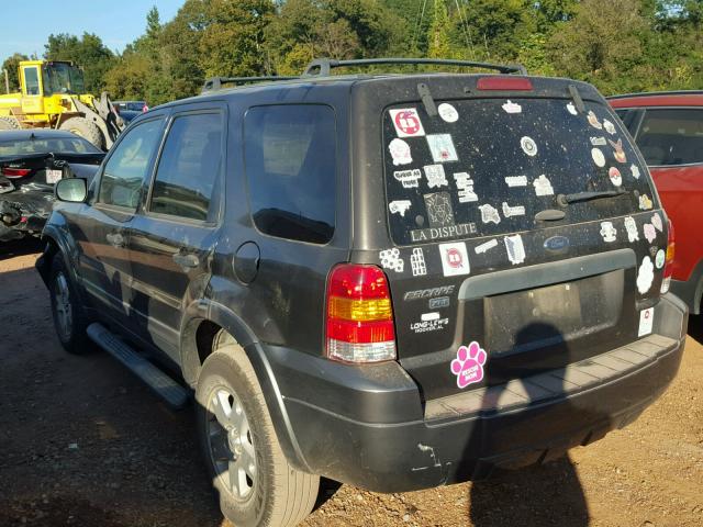 1FMYU03196KB50693 - 2006 FORD ESCAPE GRAY photo 3