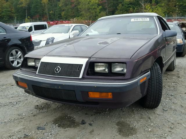 1C3XJ453XLG435307 - 1990 CHRYSLER LEBARON PURPLE photo 2