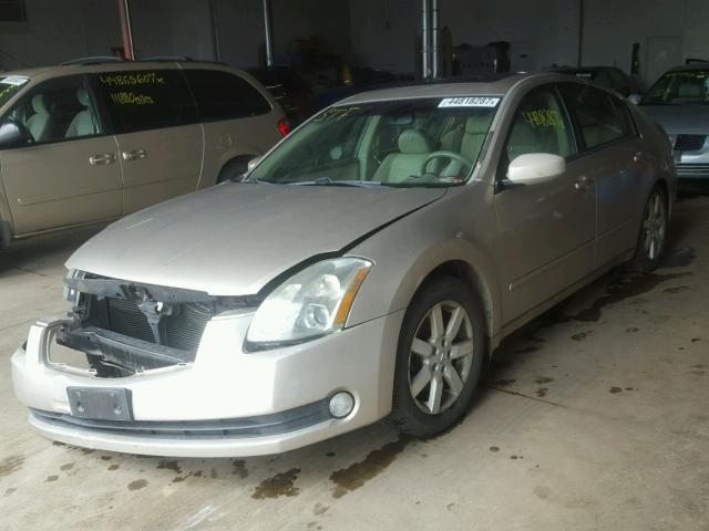 1N4BA41E06C804321 - 2006 NISSAN MAXIMA TAN photo 2