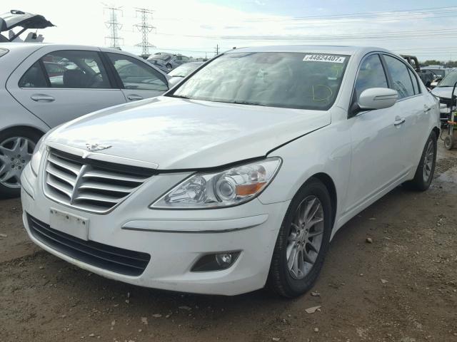 KMHGC4DE7BU145188 - 2011 HYUNDAI GENESIS 3. WHITE photo 2