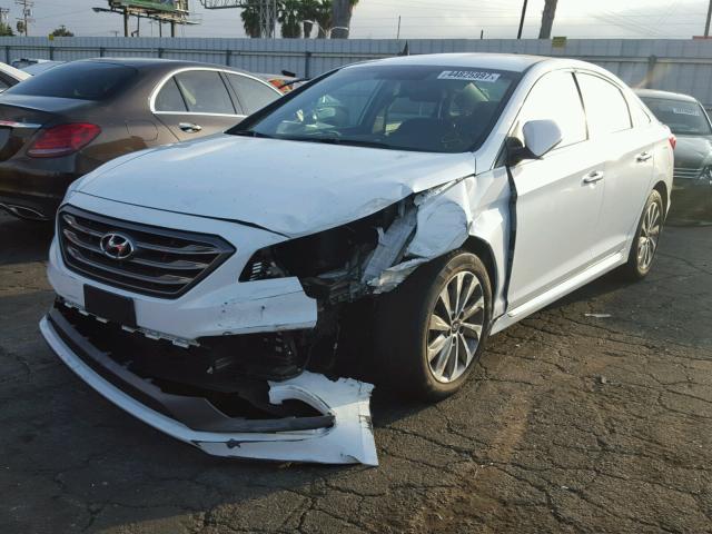 5NPE34AF8FH244482 - 2015 HYUNDAI SONATA SPO WHITE photo 2