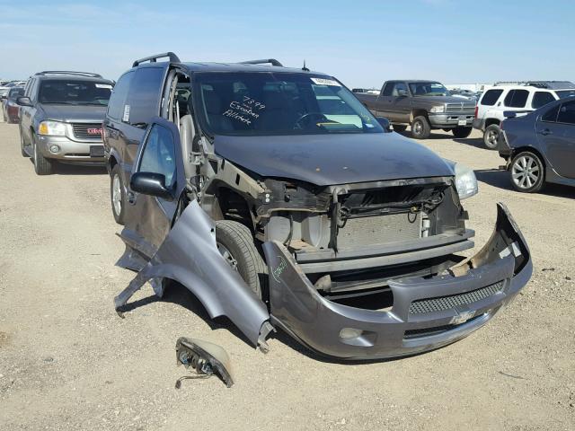 1GBDV13147D183617 - 2007 CHEVROLET UPLANDER I 紫色 照片 1