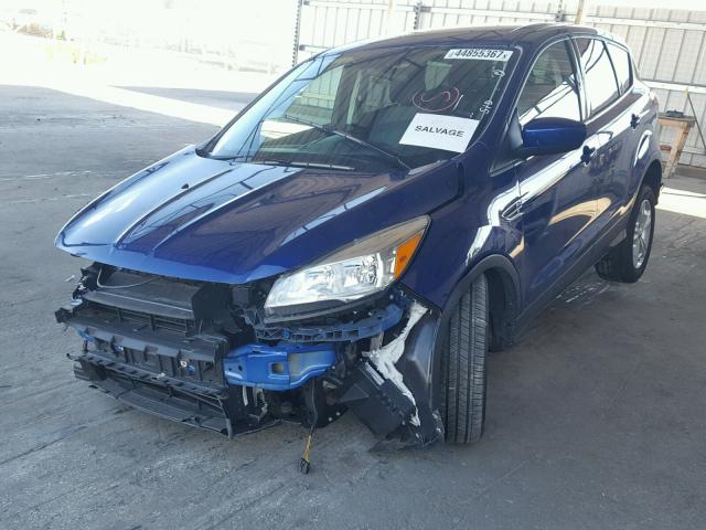 1FMCU0G74GUC45029 - 2016 FORD ESCAPE BLUE photo 2