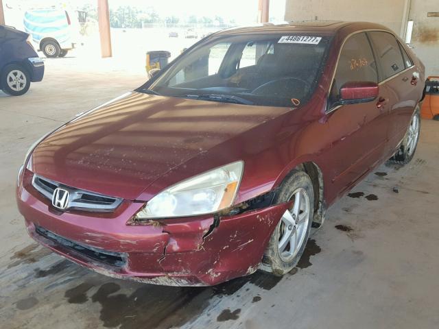 1HGCM56835A158525 - 2005 HONDA ACCORD MAROON photo 2