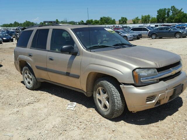 1GNDT13SX52346250 - 2005 CHEVROLET TRAILBLAZE GOLD photo 1