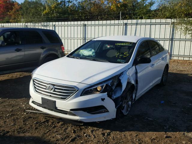 5NPE24AFXFH136156 - 2015 HYUNDAI SONATA SE WHITE photo 2